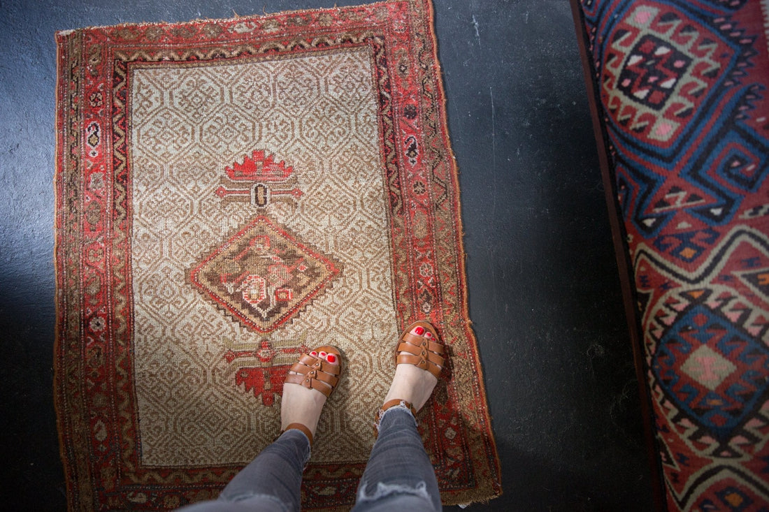 Malayer Rugs 101: Village Craft, Workshop Quality — History, Design & Collecting Guide