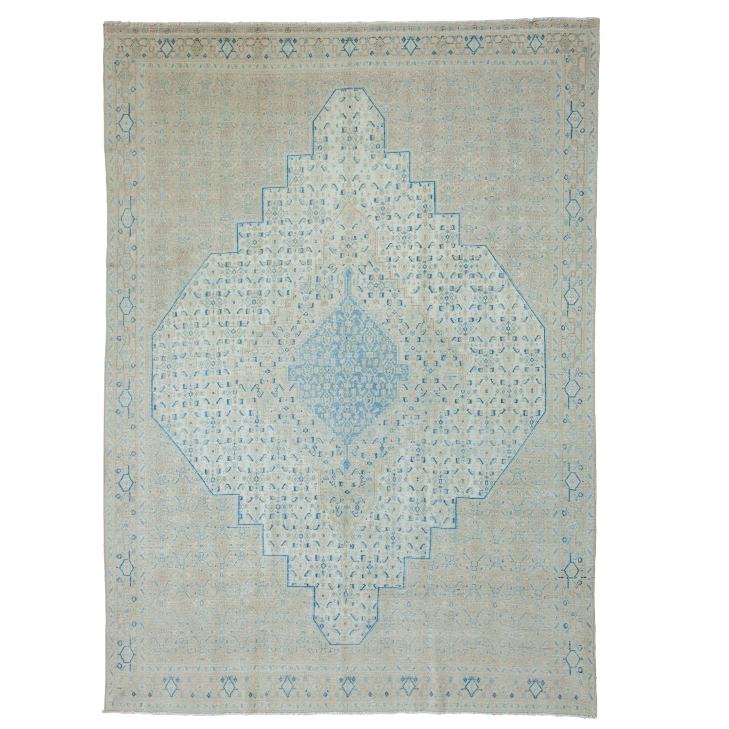 Vintage Persian Birjand Area Rug — 1960s | 6'10" × 9'6"