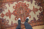 Antique Persian Malayer Area Rug — 1920s | 4' × 6'