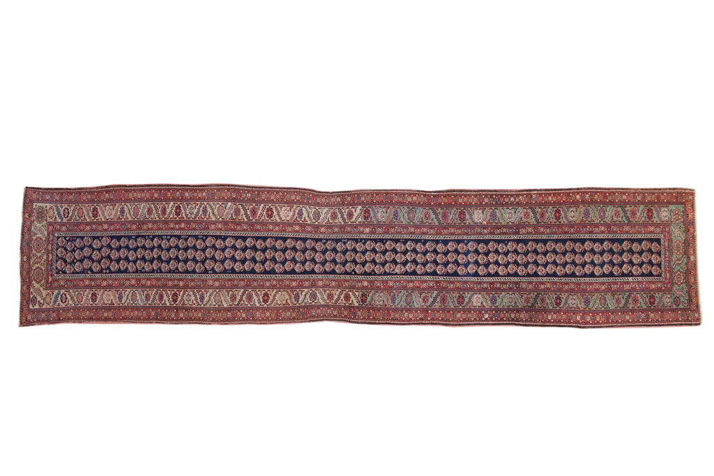 Antique Persian Malayer Rug Runner — 1895–1910 | 3'1" × 14'10"