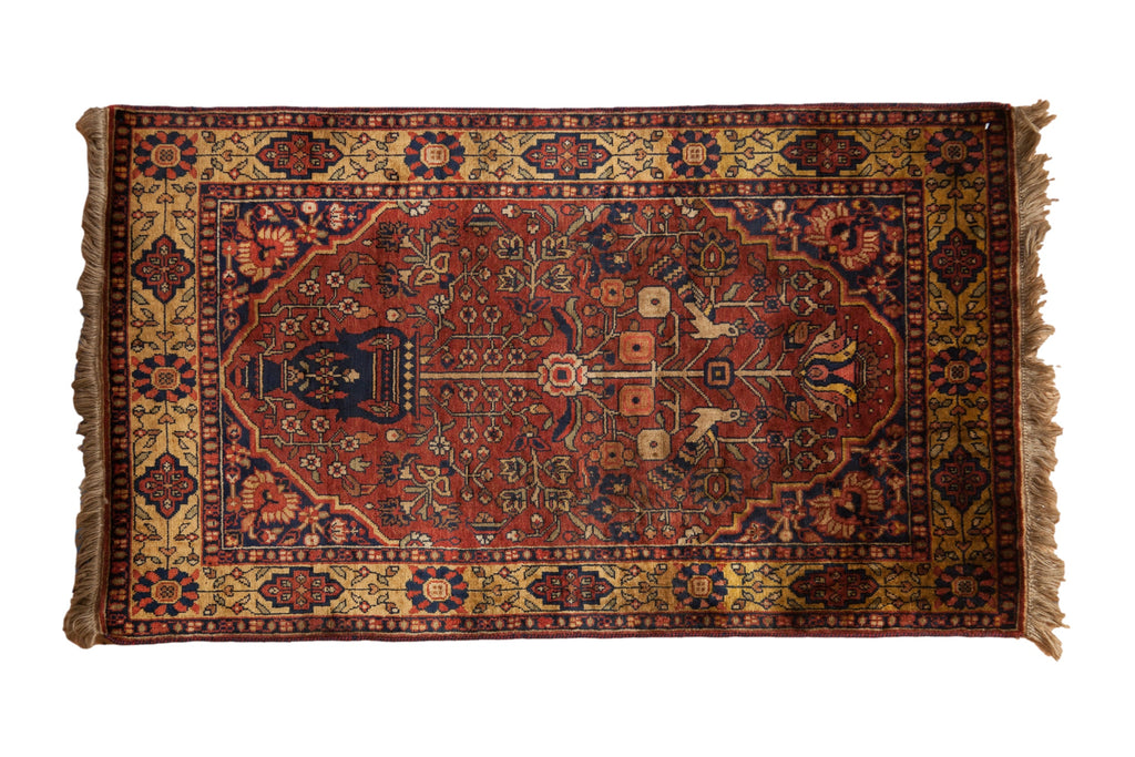 Vintage Indian Bakhtiari Design Carpet — 1980s | 3'1" x 5'3"